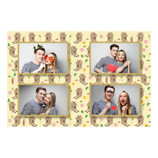 Dzień chomika + kwiaty + 417 złoty Dzień chomika + kwiaty + 417 złoty