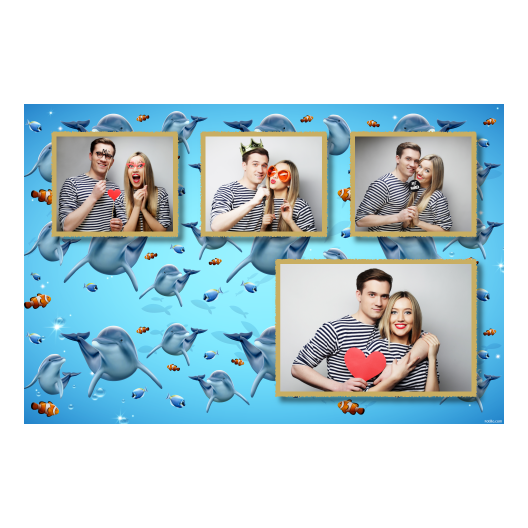 Dzień delfinów + ryby + 426 złoty Dzień delfinów + ryby + 426 złoty