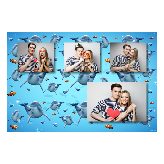 Dzień delfinów + ryby + 426 brak ramki Dzień delfinów + ryby + 426 brak ramki