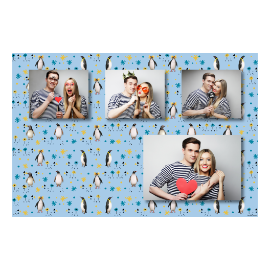 Dzień Pingwina + zwierzęta i kwiaty + 426 brak ramki Dzień Pingwina + zwierzęta i kwiaty + 426 brak ramki