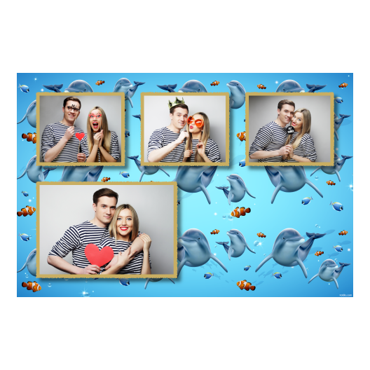 Dzień delfinów + ryby + 427 złoty Dzień delfinów + ryby + 427 złoty