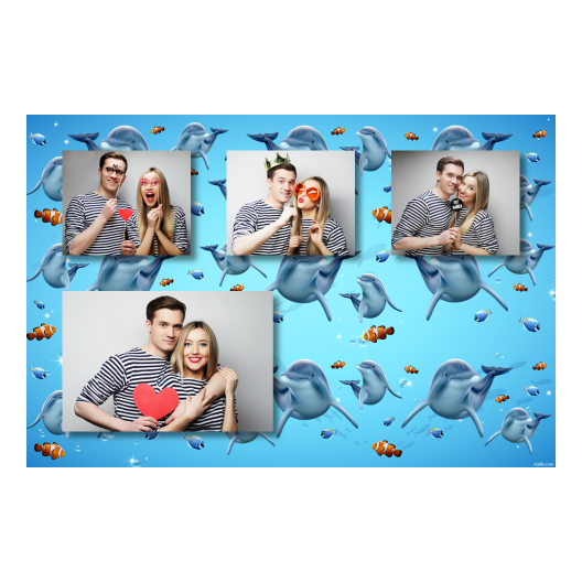 Dzień delfinów + ryby + 427 brak ramki Dzień delfinów + ryby + 427 brak ramki