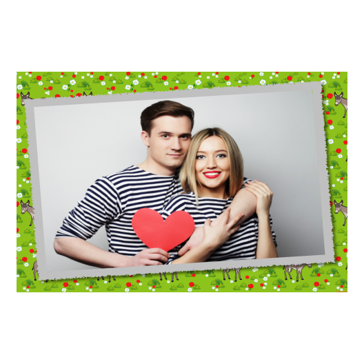 Dzień Osła + kwiaty, zwierzęta + 605 Dzień Osła + kwiaty, zwierzęta + 605