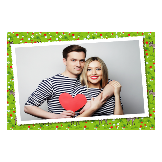 Dzień Osła + kwiaty, zwierzęta + 605 biały Dzień Osła + kwiaty, zwierzęta + 605 biały