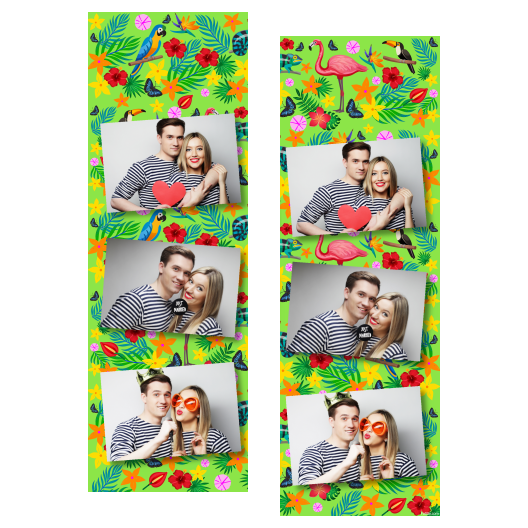 103-3-HHH-BR-Day_of_the_Tropics-069