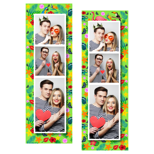 109-3-KKP-255-Day_of_the_Tropics-069