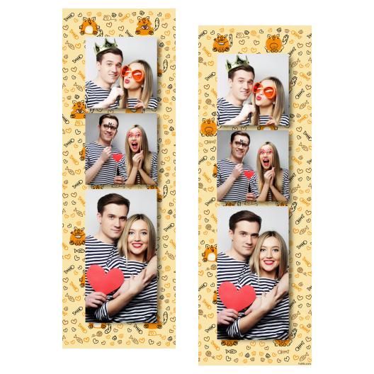 109-3-KKP-BR-Cat_Day-195