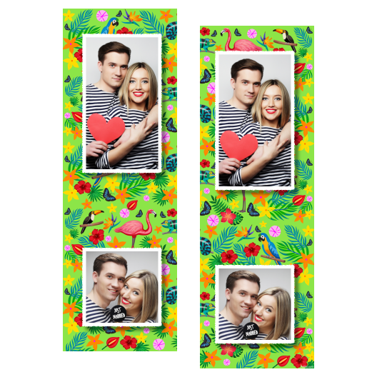 110-2-PK-255-Day_of_the_Tropics-069