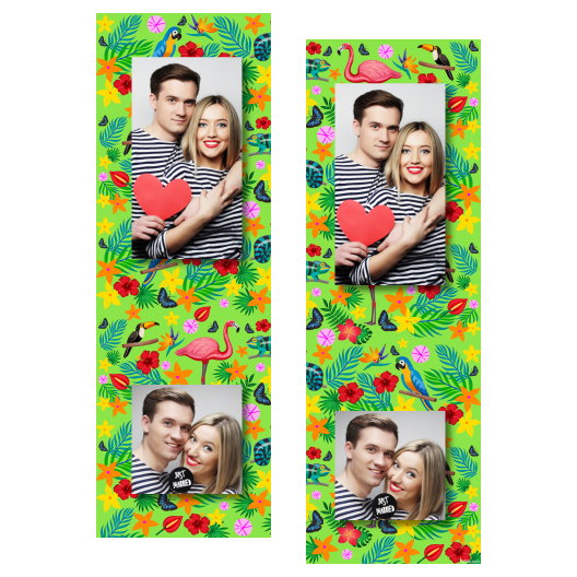 110-2-PK-BR-Day_of_the_Tropics-069