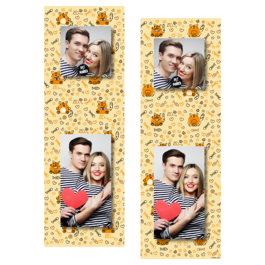 111-2-KP-BR-Cat_Day-195
