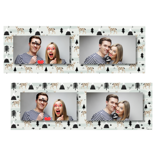 201-2-HH-BR-Lynx_Day-127