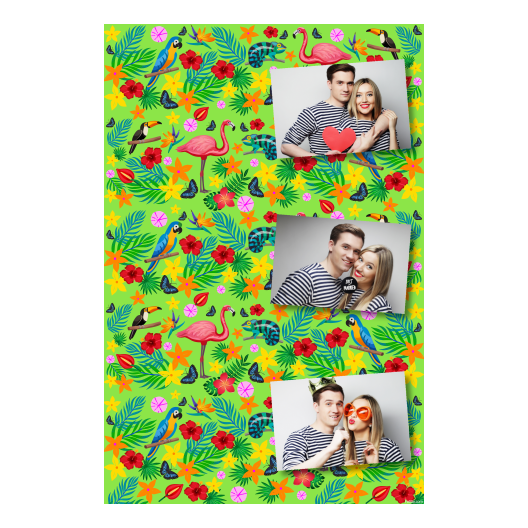 301-3-HHH-BR-Day_of_the_Tropics-069
