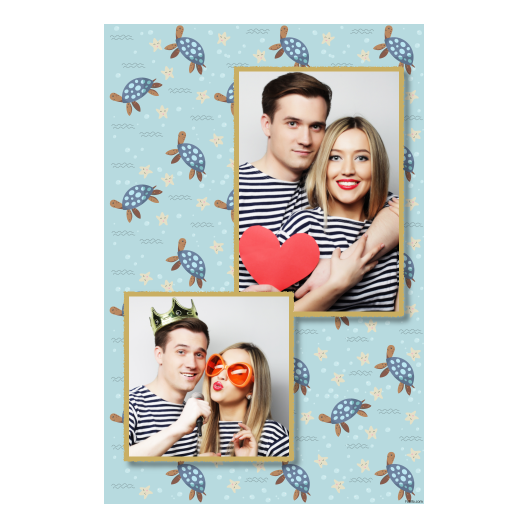 Dzień Żółwia + zwierzęta + 309 złoty Dzień Żółwia + zwierzęta + 309 złoty