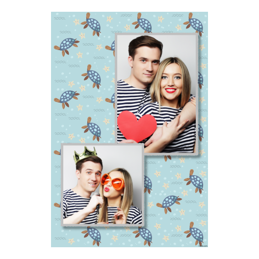 Dzień Żółwia + zwierzęta + 309 Dzień Żółwia + zwierzęta + 309