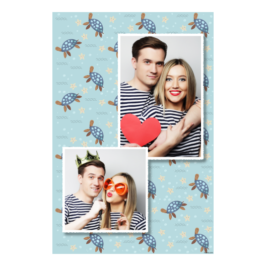 Dzień Żółwia + zwierzęta + 309 biały Dzień Żółwia + zwierzęta + 309 biały