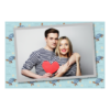 Dzień Żółwia + zwierzęta + 405 Dzień Żółwia + zwierzęta + 405