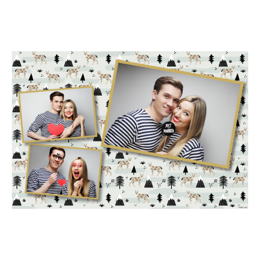 406-3-HHH-146-Lynx_Day-127