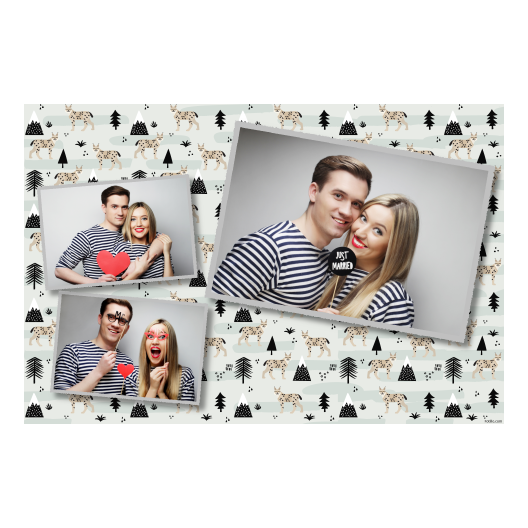 406-3-HHH-191-Lynx_Day-127