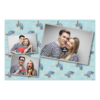 Dzień Żółwia + zwierzęta + 406 Dzień Żółwia + zwierzęta + 406
