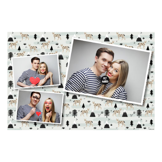 406-3-HHH-255-Lynx_Day-127