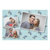 Dzień Żółwia + zwierzęta + 406 biały Dzień Żółwia + zwierzęta + 406 biały