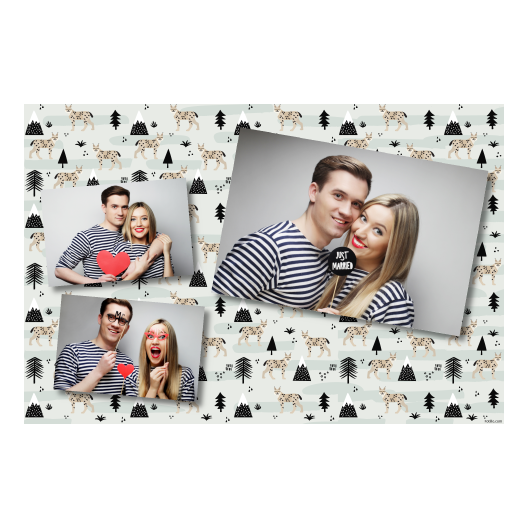 406-3-HHH-BR-Lynx_Day-127