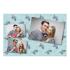 Dzień Żółwia + zwierzęta + 406 brak ramki Dzień Żółwia + zwierzęta + 406 brak ramki