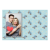 Dzień Żółwia + zwierzęta + 415 Dzień Żółwia + zwierzęta + 415