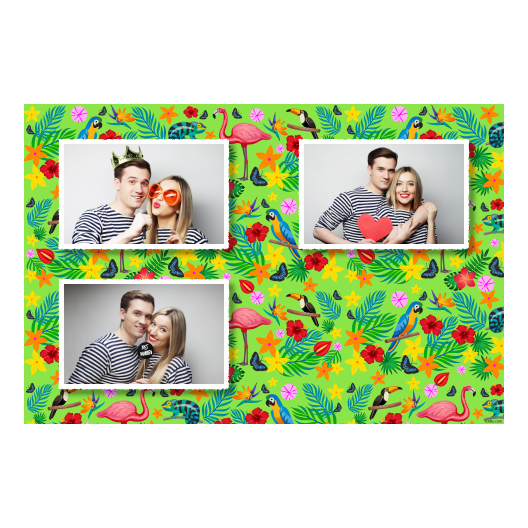 418-3-HHH-255-Day_of_the_Tropics-069