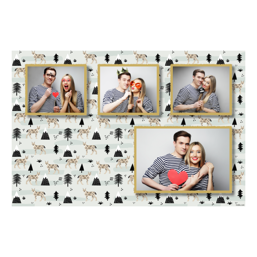 426-4-KKKH-146-Lynx_Day-127