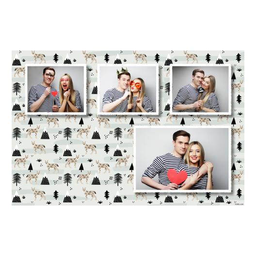 426-4-KKKH-255-Lynx_Day-127