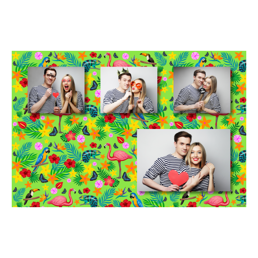 426-4-KKKH-BR-Day_of_the_Tropics-069