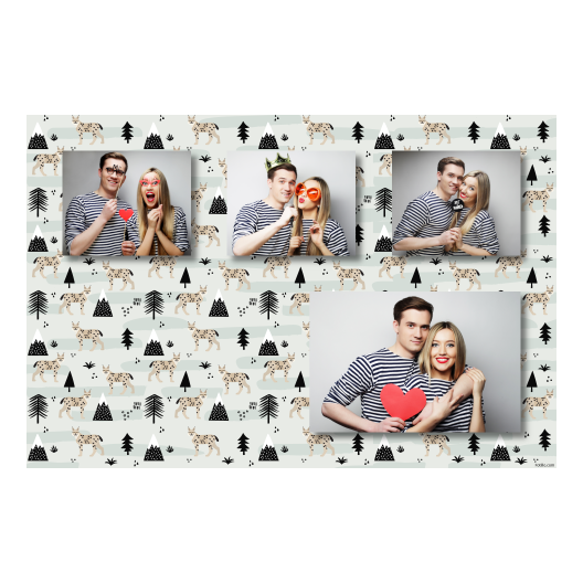 426-4-KKKH-BR-Lynx_Day-127