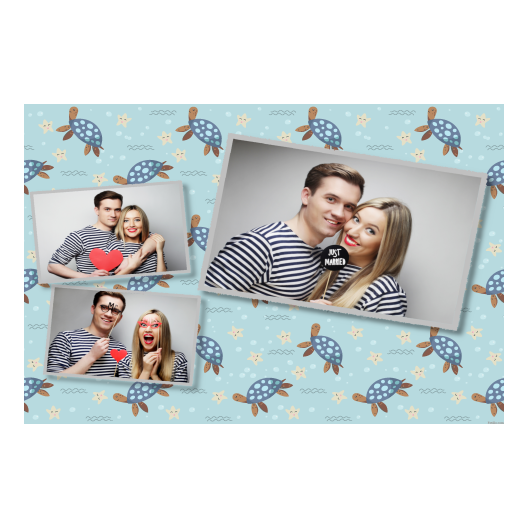 Dzień Żółwia + zwierzęta + 606 Dzień Żółwia + zwierzęta + 606