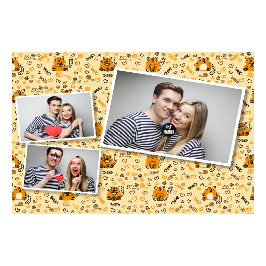 606-3-HHH-255-Cat_Day-195