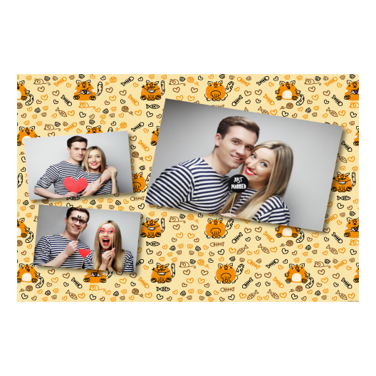 606-3-HHH-BR-Cat_Day-195