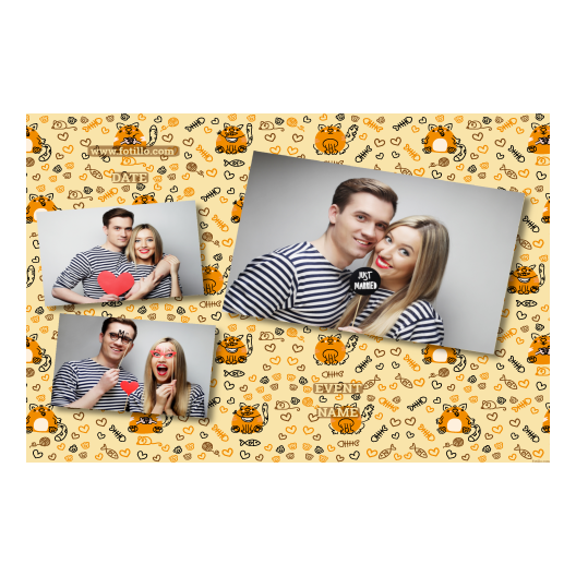 606-3-HHH-BR-Cat_Day-195T