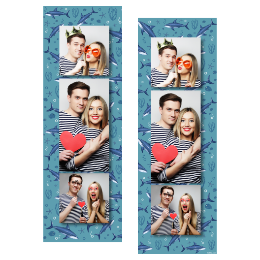 108-3-KPK-BR-Shark_Day-121