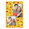 309-2-PK-BR-Kissing_Day-195