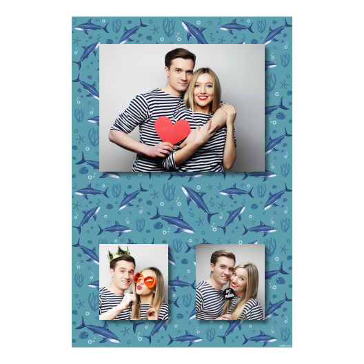 315-3-HKK-BR-Shark_Day-121