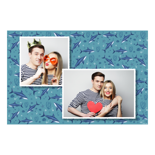 403-2-KH-255-Shark_Day-121