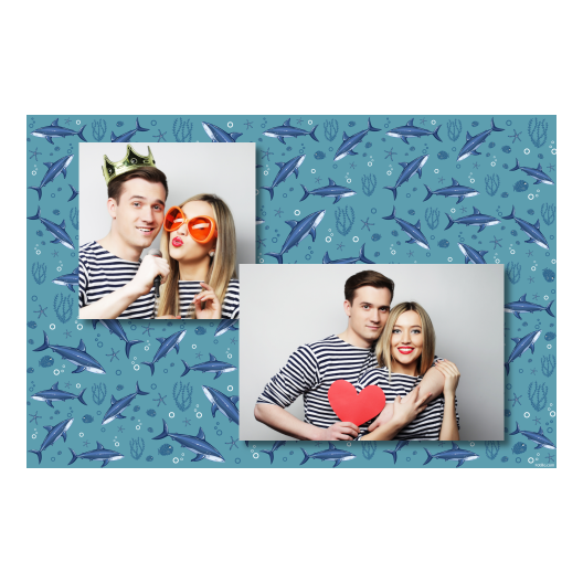 403-2-KH-BR-Shark_Day-121