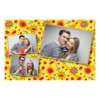 406-3-HHH-146-Kissing_Day-195