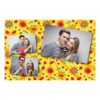 406-3-HHH-BR-Kissing_Day-195