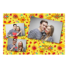 406-3-HHH-BR-Kissing_Day-195T