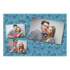 406-3-HHH-BR-Shark_Day-121