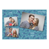 406-3-HHH-BR-Shark_Day-121T