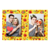411-2-PP-BR-Kissing_Day-195T