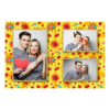 413-3-PHH-146-Kissing_Day-195
