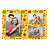 413-3-PHH-146-Kissing_Day-195T